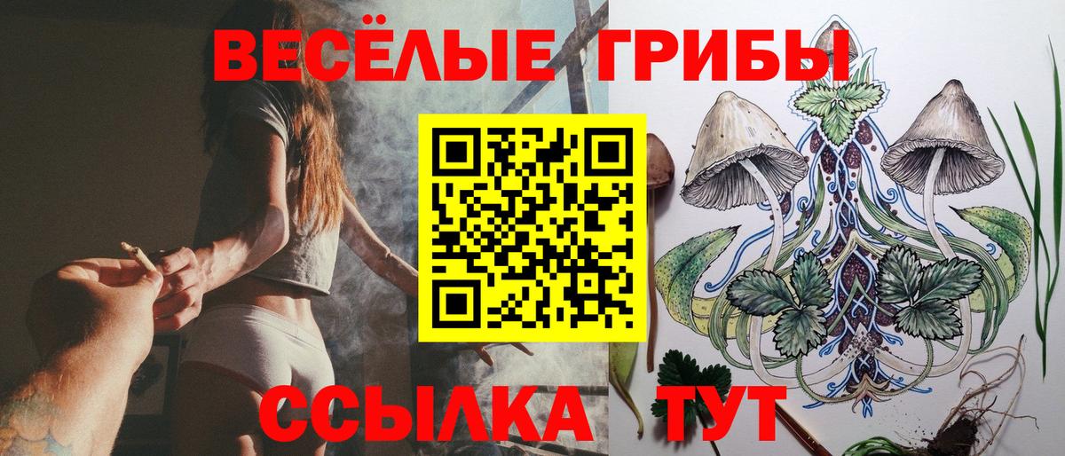 Псилоцибиновые грибы Psilocybine cubensis  Вход с VPN  Нижний Тагил 